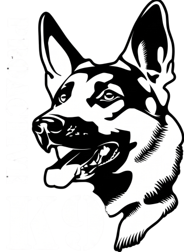 Proactive K9 logo